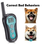 Dog Training Collar Factory - Safety Lock 500M Remote Control