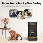 Automatic Cat Feeder Supplier - Timed Food Dispenser Phone Control