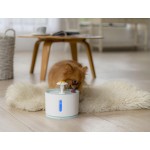 Cat Water Fountain Factory - 2.4L Capacity LED Auto Shut