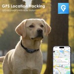 GPS Tracker Factory - Mini Global Positioning Loss Prevention Device