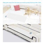 Pet Training Mat Supplier - Behavior Correction Static Absorb Mat