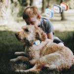 Pet Tracker Factory - GPS Tracking Collar Activity Monitor