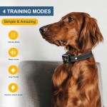 Waterproof Bark Collar Factory - Vibration Beeper Shock Features