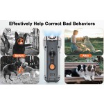 Professional Dog Repeller Factory - Electric Ultrasonic Anti Barking