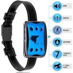 PET Training Collar Manufacturer - Beeper Vibration Electric Remote