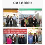 Pet Camera Feeder Supplier - Auto Timed Treat Dispenser