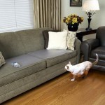 Professional Training Mat Supplier - Dog Cat Shock Mat Drive Out