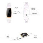 Animal Tracker Manufacturer - Waterproof Rechargeable GPS Tracking