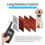 Dog Collar OEM Factory - Custom Logo Shock Antibark Training