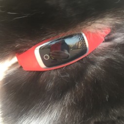 Animal Tracker Manufacturer - Waterproof Rechargeable GPS Tracking