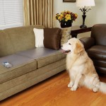 Pet Training Mat Manufacturer - Electrostatic Isolation Blanket for Cats Dogs