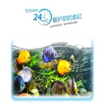 Automatic Fish Feeder Factory - Wifi App Control Feeding Device