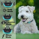 Dog Training Collar Factory - Safety Lock 500M Remote Control