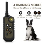 Dog Training Equipment Supplier - Remote Controlled Buzzer Light Trainer