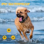 Waterproof Bark Collar Factory - Vibration Beeper Shock Features