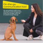 Handheld Dog Trainer Factory - Ultrasonic Anti Bark Repeller LED