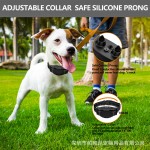 Dog Training Equipment Supplier - Remote Controlled Buzzer Light Trainer