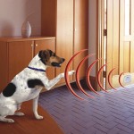 Dog Fence System Manufacturer - Wireless Electric Pet Fence