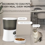 Smart Pet Feeder Manufacturer - Durable Automatic Food Dispenser Station