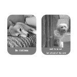 Pet Clothing Manufacturer - Heatable Vest Waterproof Car-Mounted