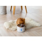 Pet Water Fountain Manufacturer - Stainless Steel Automatic Dispenser