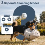 Electronic Bark Collar Supplier - Rechargeable Remote Control Training