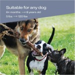 Handheld Dog Trainer Factory - Ultrasonic Anti Bark Repeller LED