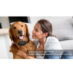 Anti Bark Collar Factory - Waterproof Dual Motor USB Rechargeable