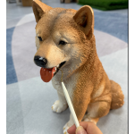 Pet Tooth Scaler Manufacturer - Professional Stainless Steel Dental Tool