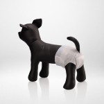 Pet Disposable Diapers Manufacturer - Custom Sizes Packing Dog Cat Diapers
