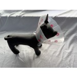 Pet E-Collar Manufacturer - Transparent Basic Collar 7 Sizes Options