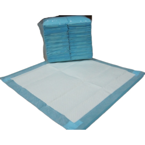 Puppy Training Pads Factory - Wholesale Disposable Wee Wee Pad Good Absorption
