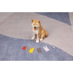 Pet Flea Comb Factory - Plastic Magnifier Comb Tick Lice Removal