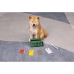 Flea Comb Supplier - Pet Grooming Comb Tick Lice Removal Tool