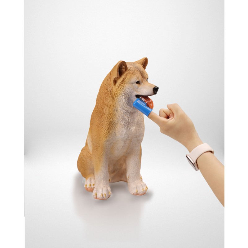 Pet Finger Toothbrush Factory - Soft Convenient Multiple Colors Options