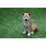 Pet Toothbrush Supplier - Dual-end Design Easy Use Multiple Colors