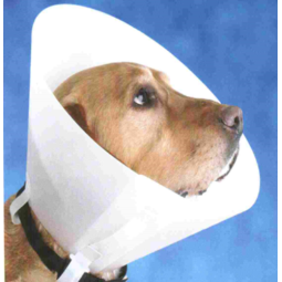 Pet E-Collar Factory - Basic Recovery Collar Protective Cone
