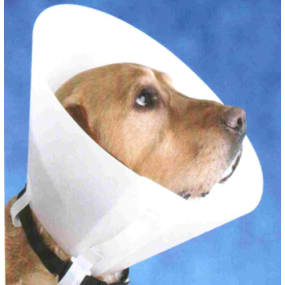 Pet E-Collar Factory - Basic Recovery Collar Protective Cone
