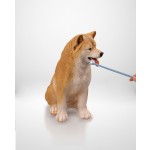 Pet Toothbrush Supplier - Dual-end Design Easy Use Multiple Colors