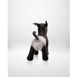 Dog Disposable Diaper Supplier - OEM Bulk Disposable Pet Diapers