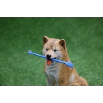 Pet Toothbrush Manufacturer - Dual-end Design Multiple Colors Packings