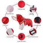 Pet Raincoat Manufacturer - Quick-Drying Waterproof Windproof Polyester