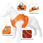 Dog Traction Rope Manufacturer - Breathable Reflective Polyester Vest