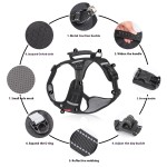 Pet Traction Rope Supplier - Vest Harness Explosion-Proof