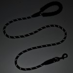 Pet Leash Supplier - Reflective Nylon Multi-Color Walking