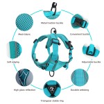 Dog Traction Vest Supplier - Reflective Nylon Breathable Closure