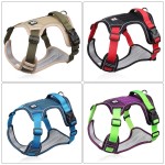 Pet Leash Manufacturer - Padded Chest Strap Explosion-Proof