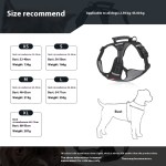 Pet Traction Rope Supplier - Vest Harness Explosion-Proof