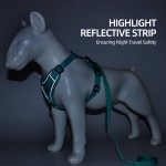 Dog Traction Vest Supplier - Reflective Nylon Breathable Closure