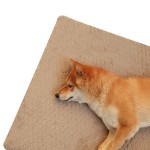 Dog Bed Manufacturer - Egg Sponge Nest Plush Washable